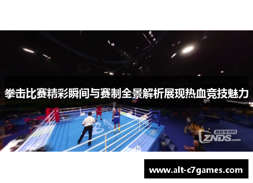 拳击比赛精彩瞬间与赛制全景解析展现热血竞技魅力